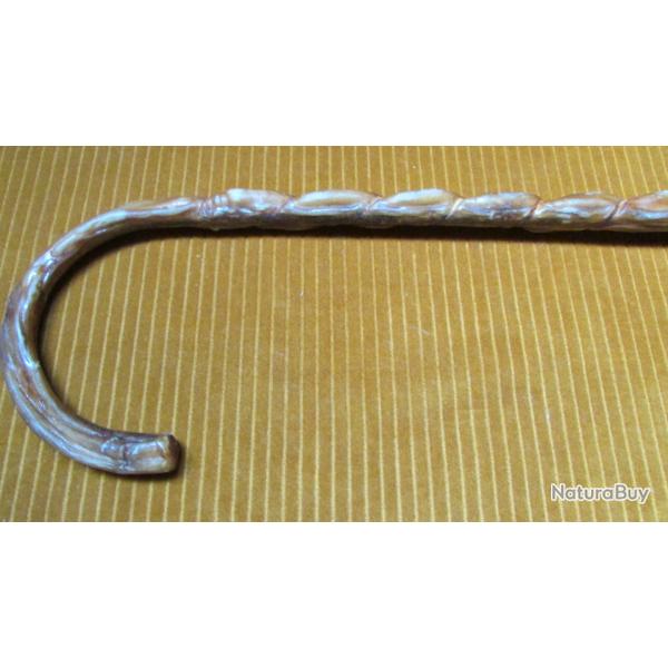 canne nerf de boeuf   - de maquignon