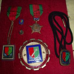 1 LOT DE MEDAILLES INSIGNES et DIVERS " RHIN & DANUBE " . .