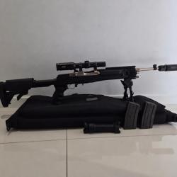 Ruger Mini 14 Tactical