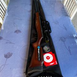 Carabine &agrave; plomb
