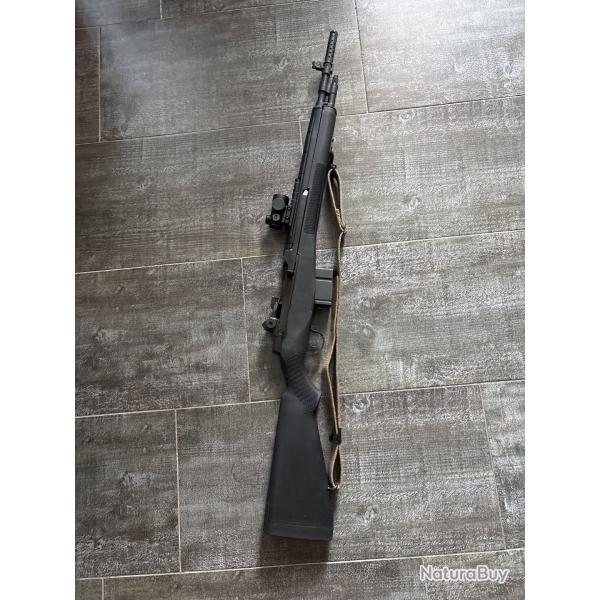 Springfield M1A