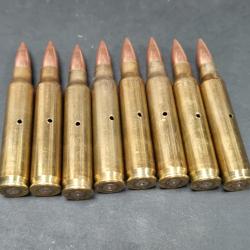 lot de 9 munitions 223 Rem. neutralis&eacute; sellier et bellot, winchester, geco ect cal 5,56
