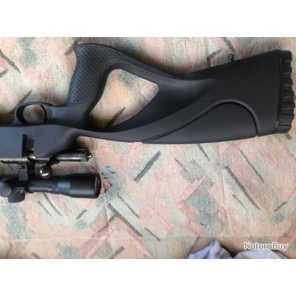 Carabine 22 lr