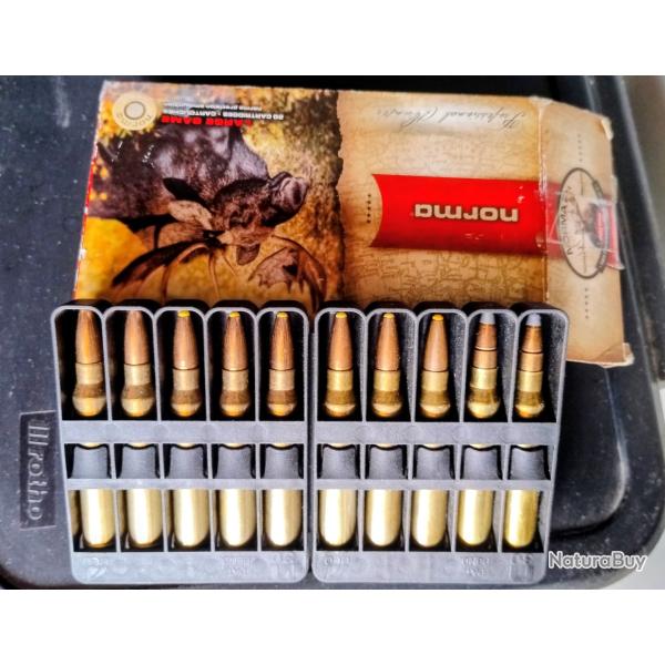 8 Balles norma plastic point + 2 balles solagnac calibre 300 winchester magnum, livraison comprise