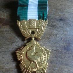 m&eacute;daille collectivit&eacute; locale crouzat