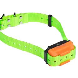 OFFRE SPECIALE - Canicom R - COLLIER DE DRESSAGE POUR CHIEN RECHARGEABLE sangle vert fluo