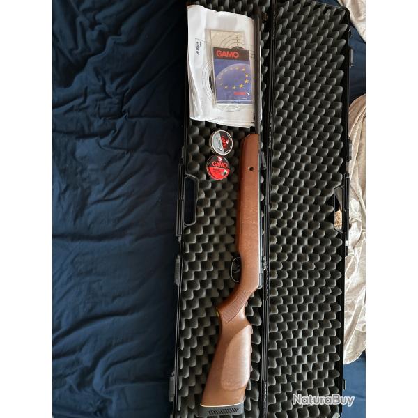 Carabine � plomb