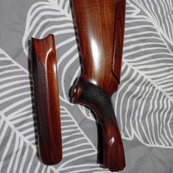 Crosse ZOLI Kronos