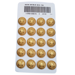 Lot de 20 boutons Arm&eacute;e de l'Air - 25 mm