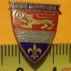 REDUCTION : lion sur fond rouge et fleur de lys, libris moribusque,ETAT VOIR PHOTO&nbsp; . POUR TOUT RENS