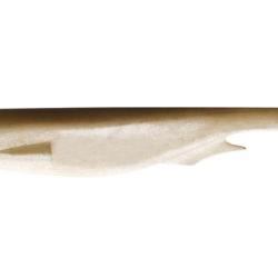 Ope 1� Leurre souple megabass spark shad 7 inch  lot 18