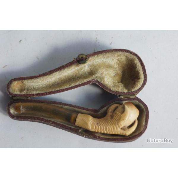 Fume cigarette �cume serre d'aigle