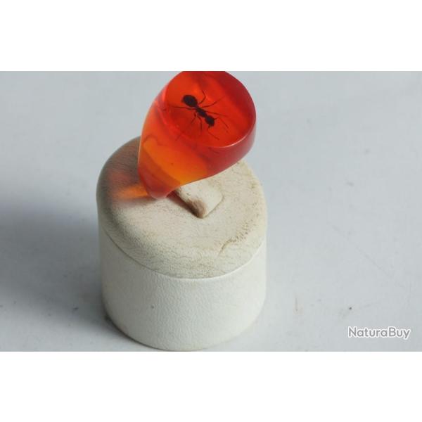Bague r�sine ambre inclusion Fourmis vintage T57
