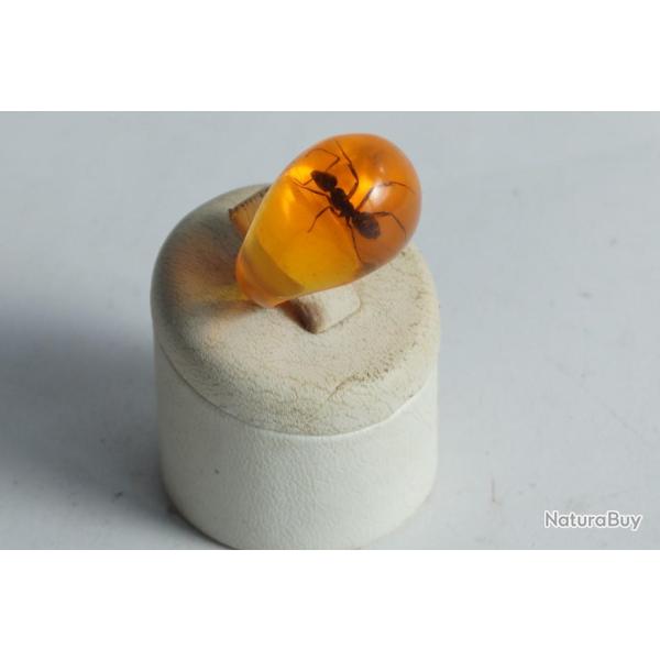 Bague r�sine ambre inclusion Fourmis vintage T51