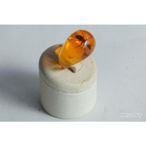 Bague r�sine ambre inclusion Fourmis vintage T50