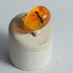 Bague r&eacute;sine ambre inclusion Fourmis vintage T47