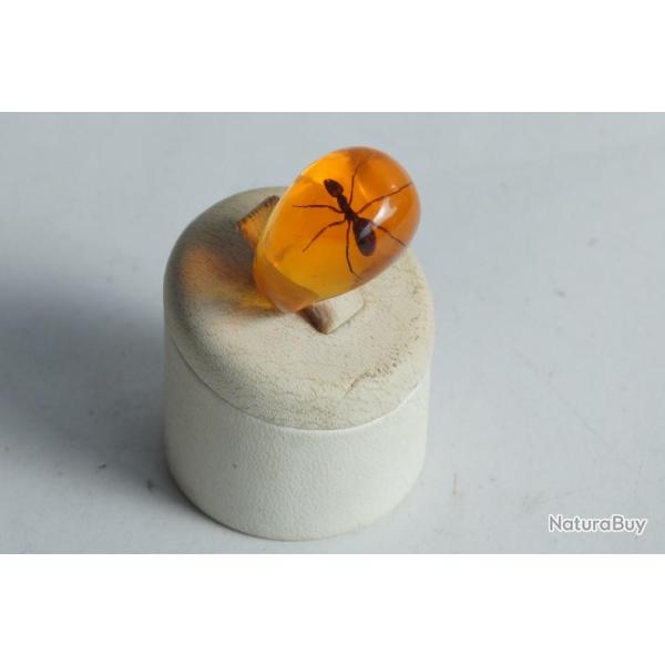 Bague r�sine ambre inclusion Fourmis vintage T47