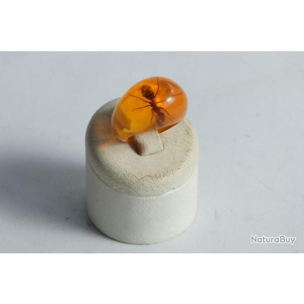 Bague r�sine ambre inclusion Fourmis vintage T48