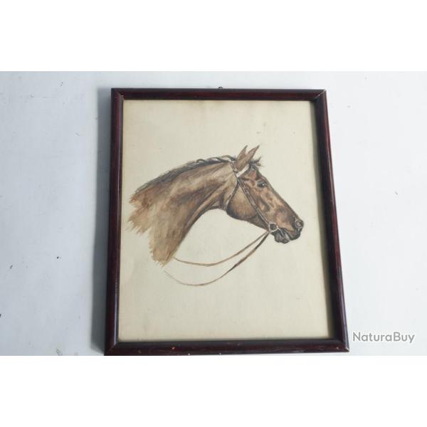 Dessin original Aquarelle Portrait de Cheval