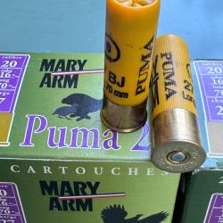 2x25 cartouche ma mary arm puma 27  cal 20/70