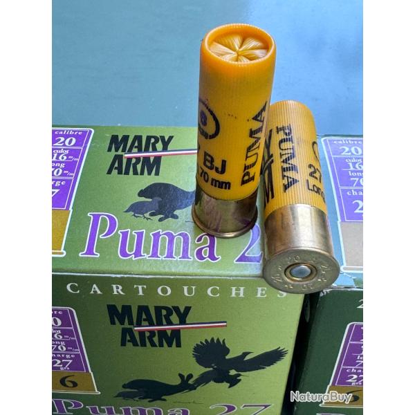 2x25 cartouche ma mary arm puma 27  cal 20/70