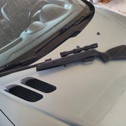 Carabine a plomb Gamo 19 joule