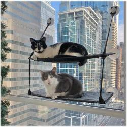 Window Mount Kitty Sill Panier sur Fen&ecirc;tre &agrave; Deux &Eacute;tages pour Chat