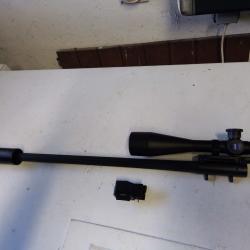 canon Blaser r93 243 win