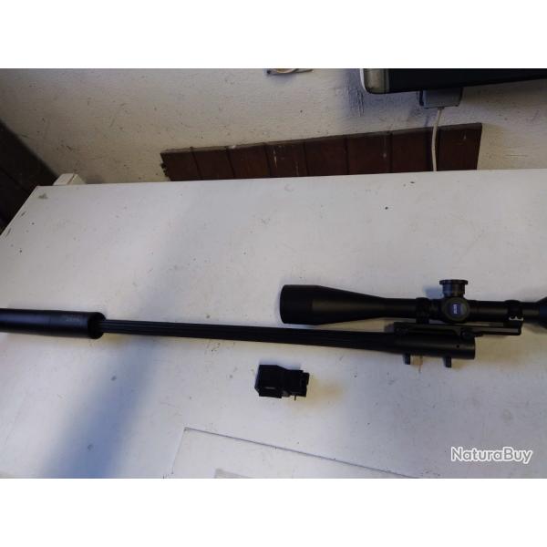 canon Blaser r93 243 win