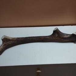 BOIS CERF VERNIS 48CM COUTELLERIE ARTISANAT