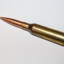 CARTOUCHE 416 BARRETT NEUTRALISEE avec cutting edg 500 grs