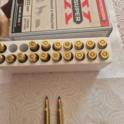 Munitions 222 winchester
