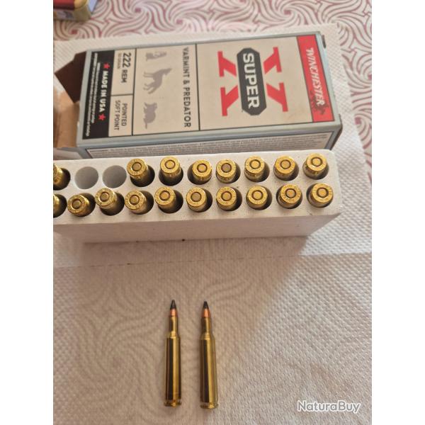 Munitions 222 winchester