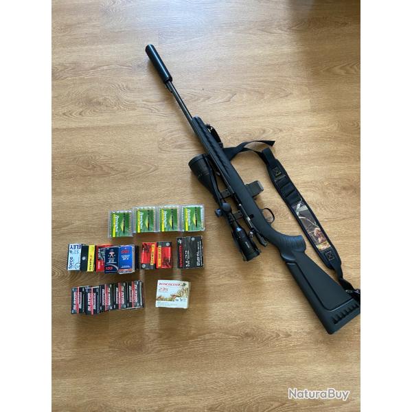 Ruger am�ricain rifle 22 lr