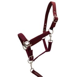 LICOL ET LONGE CINSY BORDEAUX - COB - HARCOUR