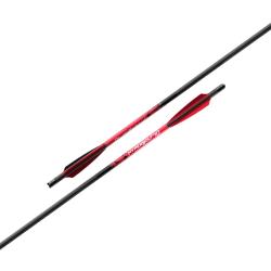 Pack de 6 fl&egrave;ches carbone Barnett Demun Hyperbolt C10