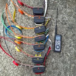 Collier Cezame GPS VHF
