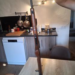 Carabine pfeifer