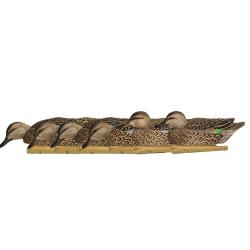Formes de sarcelle d&eacute;but de saison AvianX