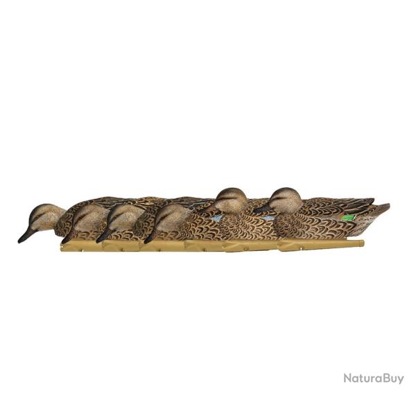 Formes de sarcelle d�but de saison AvianX