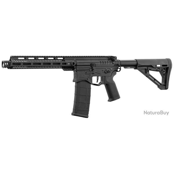 R�plique R15 Mod 1 Zion Arms Noire Garde Main Long