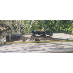 Carabine 308 Savage scout