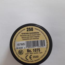 Boite de 250 amorces RWS 1075 pour armes poudre noire.
