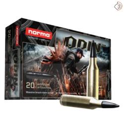 Norma 30-06 SPRG 180 GR ODIN