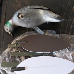 Mojo pigeon ailles tournantes