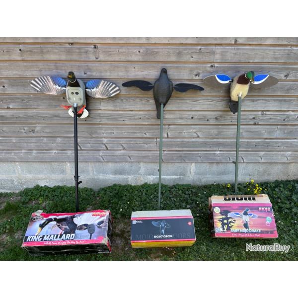 Lot de mojo canard et corbeaux