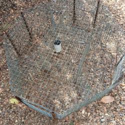 Cage &agrave; pies