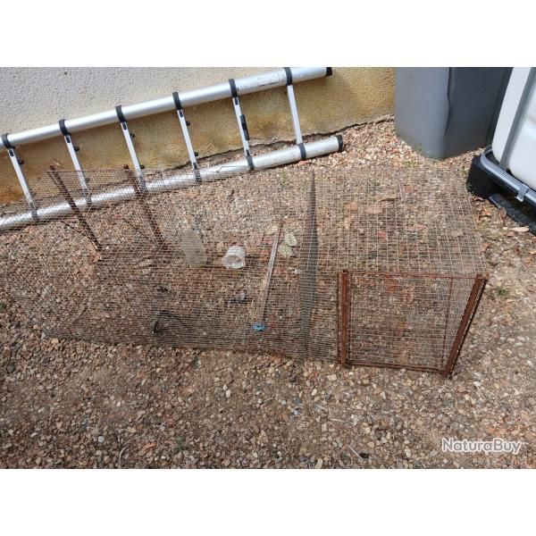 Cage � corneilles