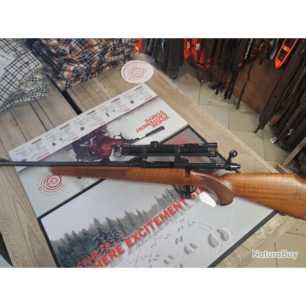 tikka gaucher