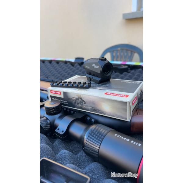 Point rouge SigSauer romeos +rail